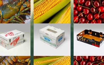 Recyclable Produce Packaging: Sustainable Options for Fresh Produce