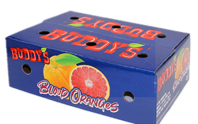 Creative Food Packaging Ideas: How Innovative Packaging Elevates Food Brands and Supply Chains