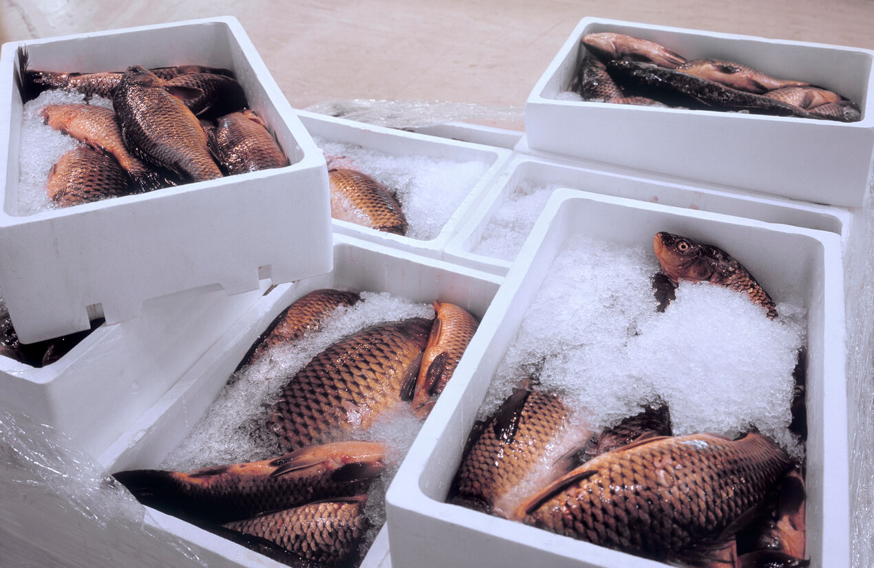 Seafood Shipping Box