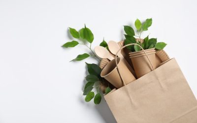 What Is Sustainable Packaging?